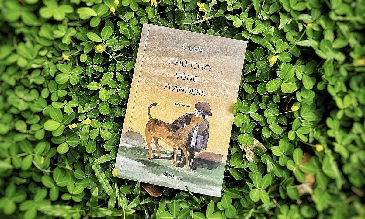 Nhà cái không chặn