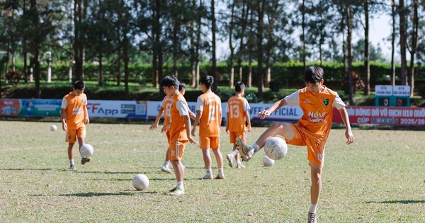 GG88 cược bóng đá: Học viện Nutifood đón lứa tài năng mới, nuôi mộng kế tục Lý Đức - hình ảnh - playgg88.vip GG88 cược bóng đá: Học viện Nutifood đón lứa tài năng mới, nuôi mộng kế tục Lý Đức - hình ảnh - playgg88.vip