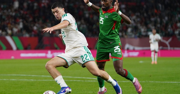 Sao trẻ gốc Việt Ibrahim Maza: Tương lai rực sáng tại Premier League sau World Cup 2026? - hình ảnh - playgg88.vip